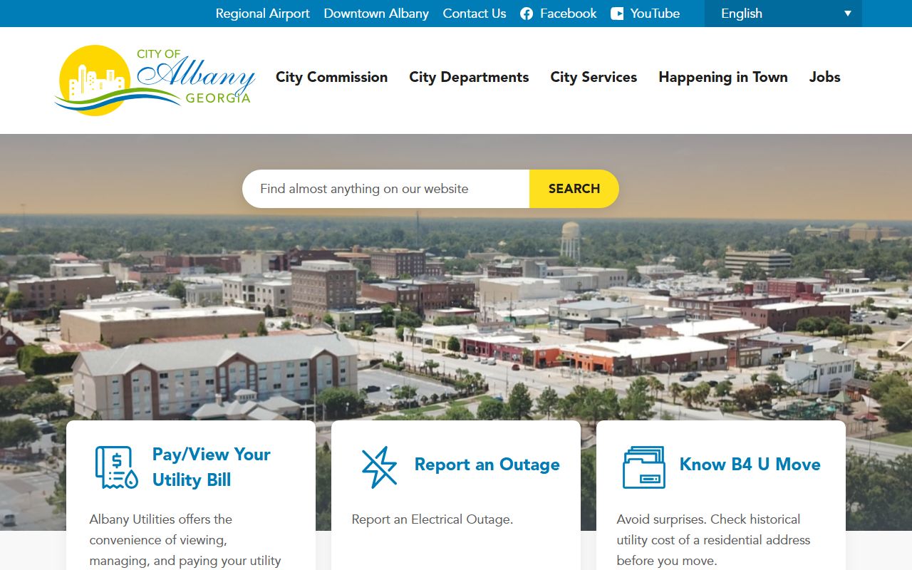 Albany city website for felony records resources