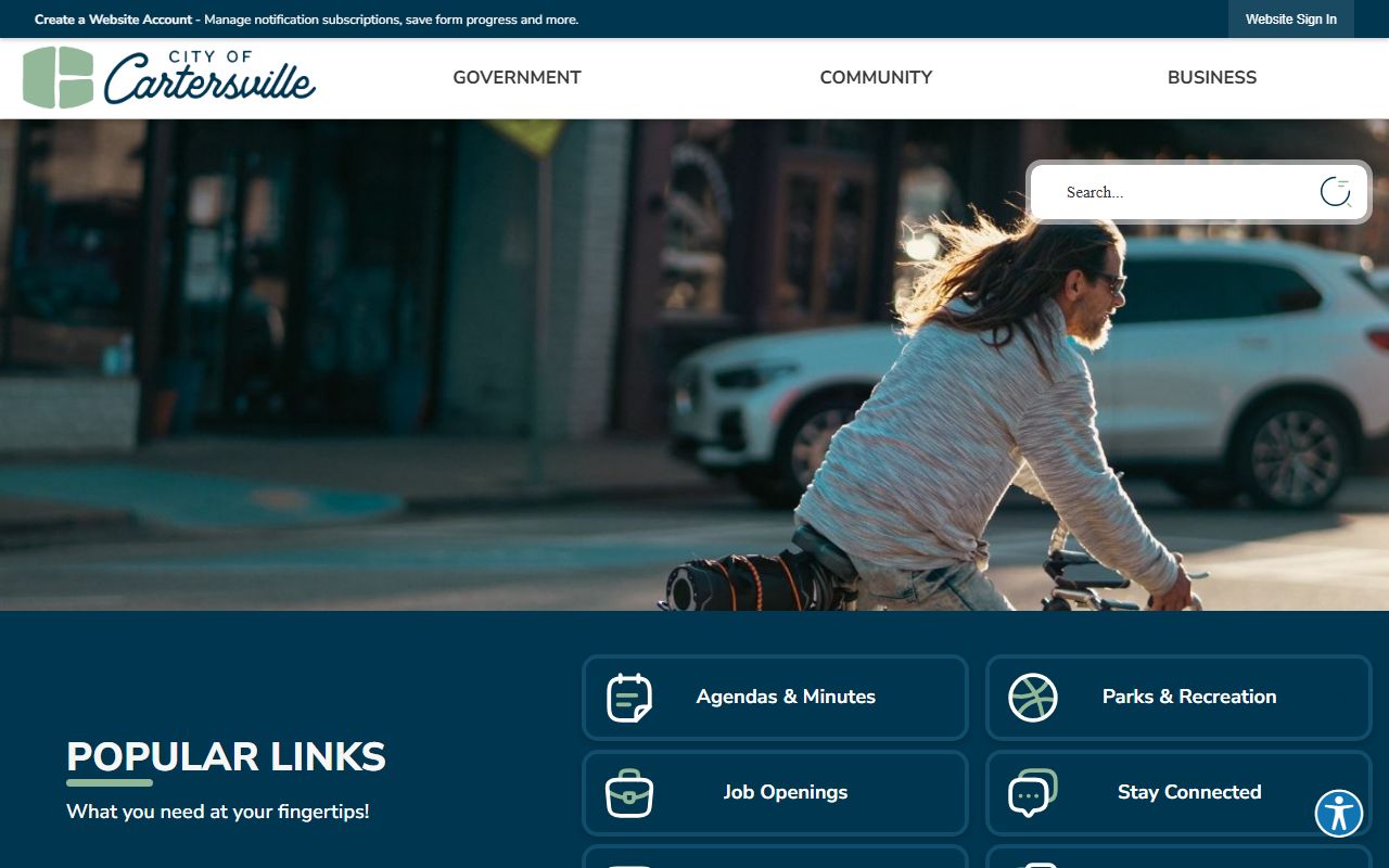 Cartersville city website for felony record information