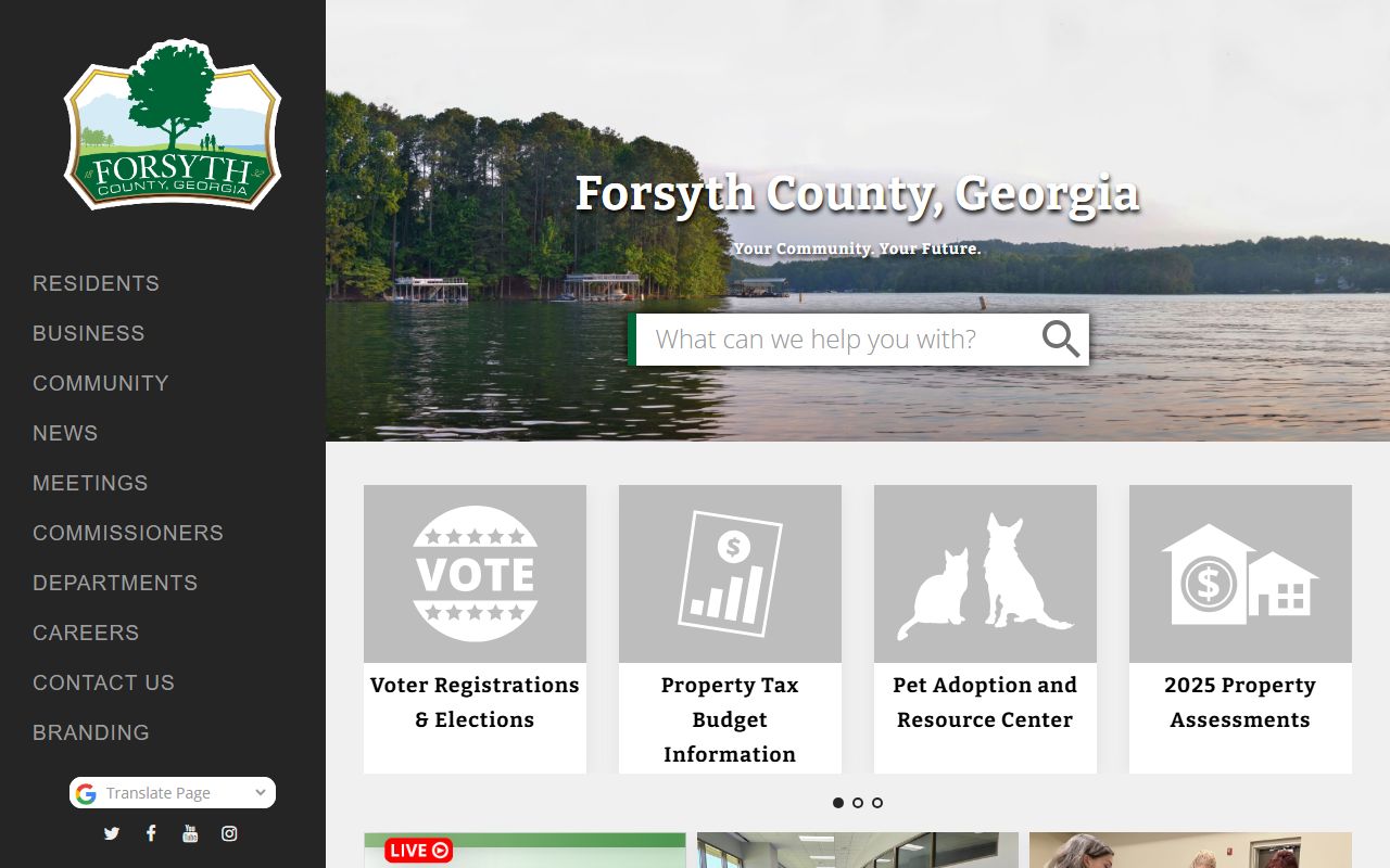 Forsyth County government website for felony records