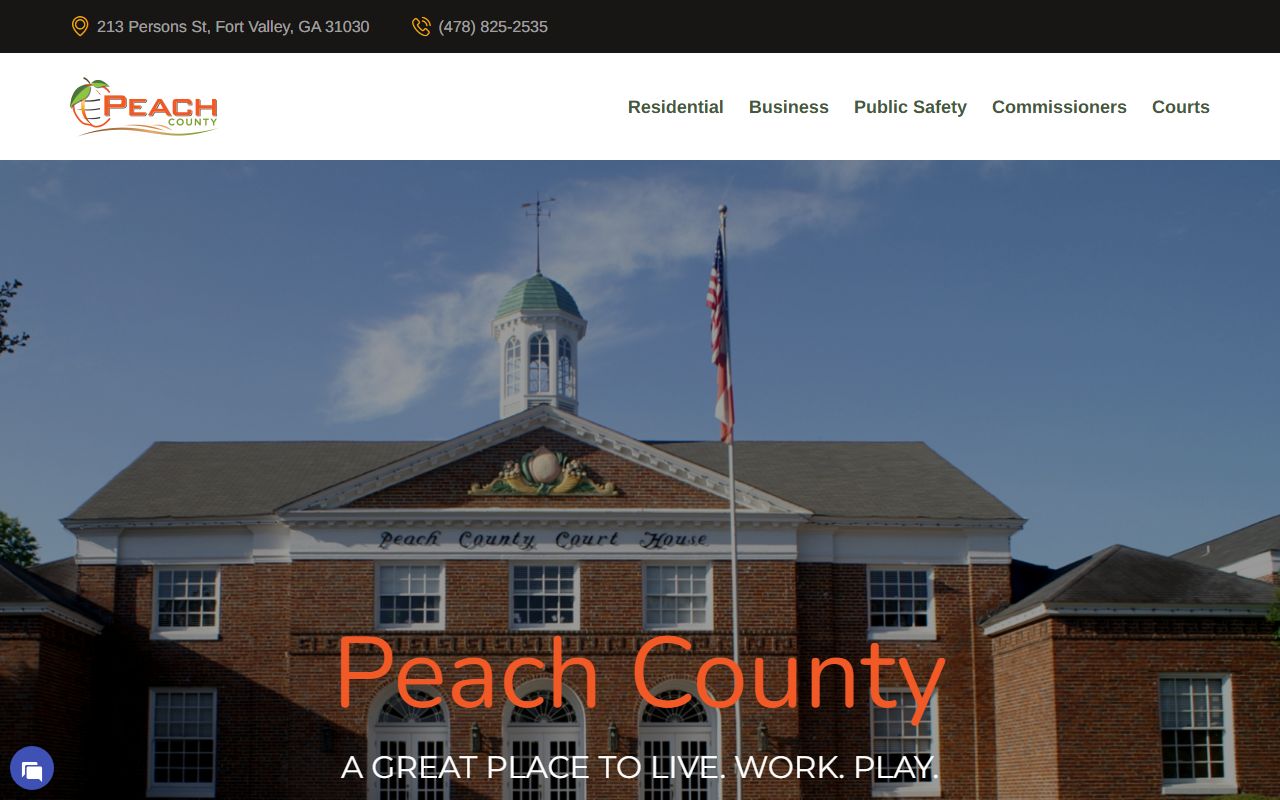 Peach County government website for felony records