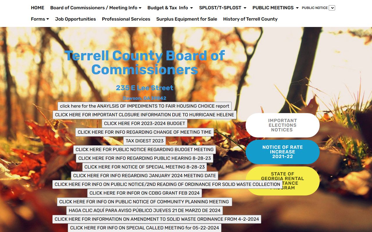 Terrell County government website for felony records